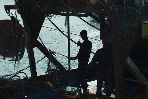 De farliga fiskarna i Gaza