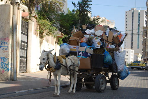 Gazas metaforer